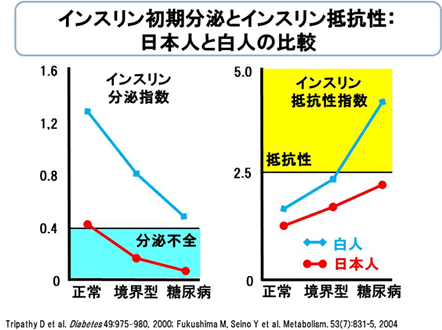 インスリン初期分泌とインスリン抵抗性：日本人と白人の比較
